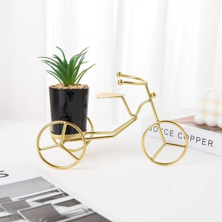 Gilded Tricycle with Ceramic Plant Pot