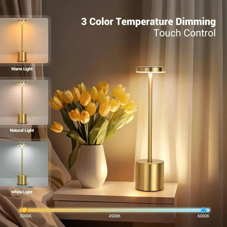 Rechargeable Metal Desk Lamps