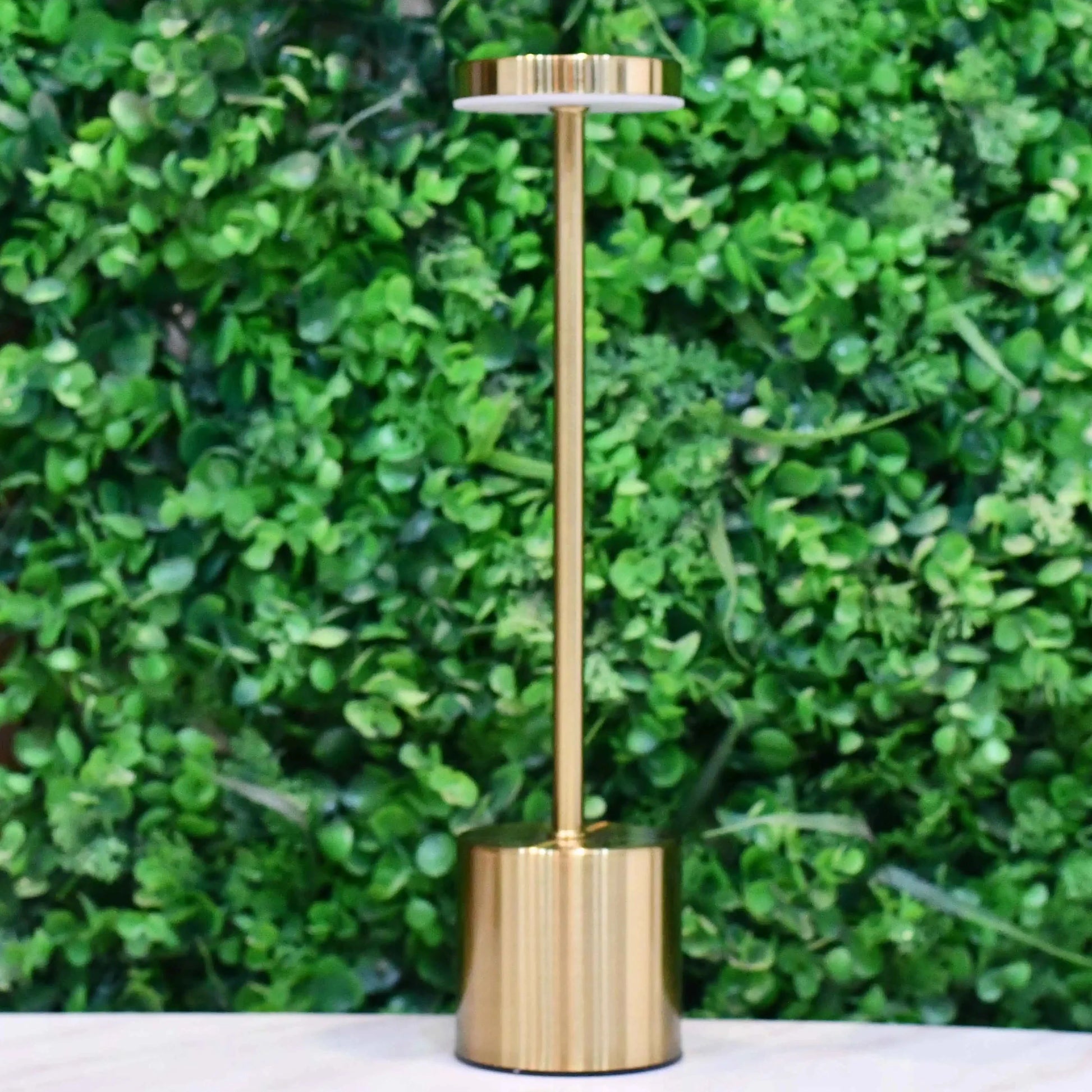 Rechargeable Metal Desk Lamps